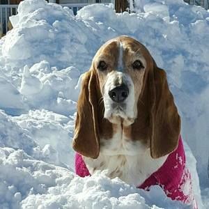 Meet your Posher, Tammy